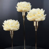 Set of Peonies in a Candlestick