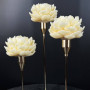 Set of Peonies in a Candlestick