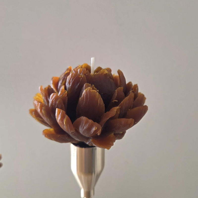 Honey Peony Candle Trio with Golden Stands