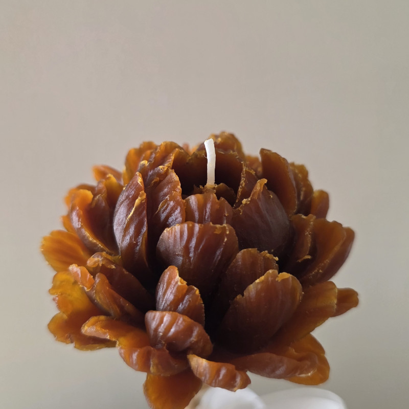 Honey Peony Candle Trio with Golden Stands